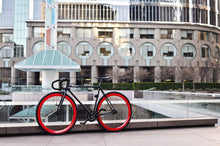 Ladda upp bild till gallerivisning, Echo