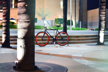 Ladda upp bild till gallerivisning, Echo