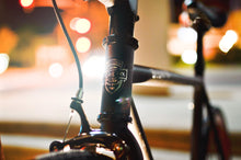 Ladda upp bild till gallerivisning, Echo