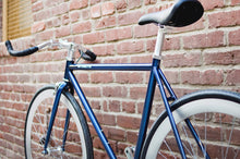 將圖片載入圖庫檢視器 November