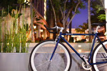 將圖片載入圖庫檢視器 November