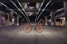 將圖片載入圖庫檢視器 Papa