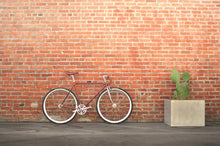 Ladda upp bild till gallerivisning, Roosevelt