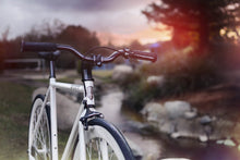 Ladda upp bild till gallerivisning, Zulu