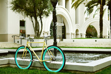 Ladda upp bild till gallerivisning, X-Ray