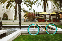 Ladda upp bild till gallerivisning, X-Ray